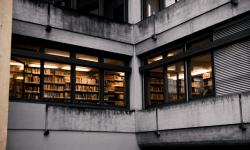 Image: Blog Image